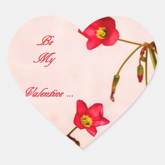 Sei mein Valentine Herz-Aufkleber (Vorderseite)