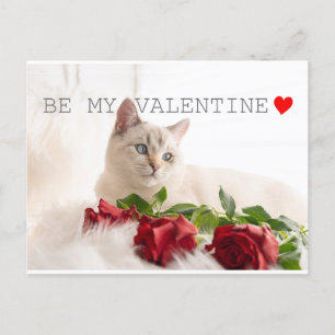 Sei mein Valentine Postkarte