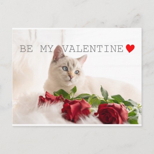Sei mein Valentine Postkarte (Vorderseite)