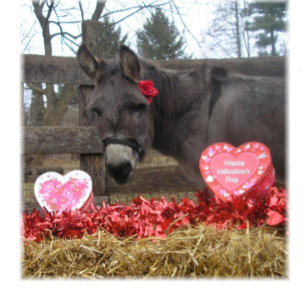 "Sei mein Valentinstag!" Grußkarte Feiertagskarte