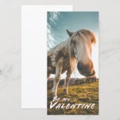 Sei mein Valentinstag mit Blick auf das Pferd (Vorne/Hinten)