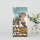 Sei mein Valentinstag mit Blick auf das Pferd (Stehend Vorderseite)