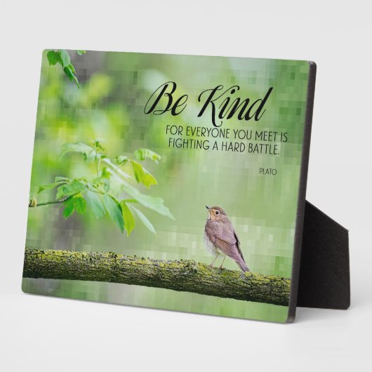 Sei nett fotoplatte (Seite)