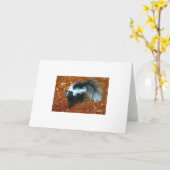 Sei nett, sonst stink ich dir eine Grußkarte! Karte (Gelbe Blume)