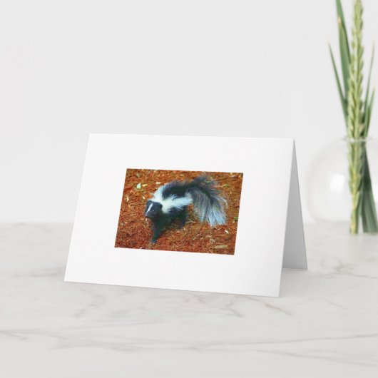 Sei nett, sonst stink ich dir eine Grußkarte! Karte (Vorderseite)