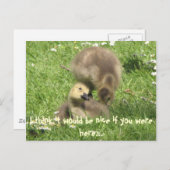 Sei nett, wenn du hier wärest.. Postkarte (Vorne/Hinten)