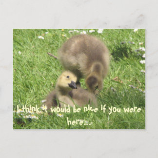 Sei nett, wenn du hier wärest.. Postkarte