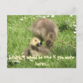 Sei nett, wenn du hier wärest.. Postkarte (Vorderseite)