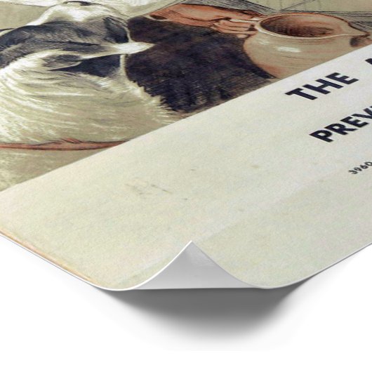 Sei nett zu Tieren und Katzen Poster (Ecke)