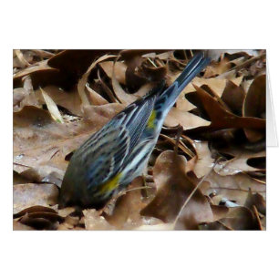 Sei nicht schüchtern!