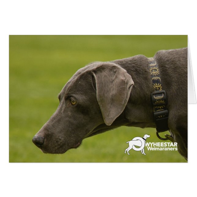 Sei nicht traurig (Vorderseite (Horizontal))