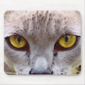 Sei verängstigt, habe große Angst Mousepad (Vorne)