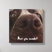 Seid ihr wach? leinwanddruck (Vorderseite)
