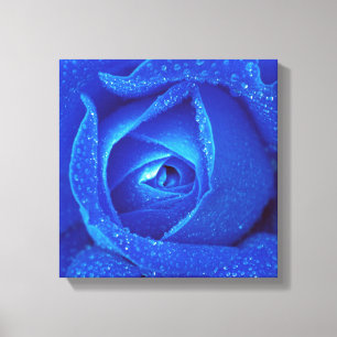 Seide auf blauer Rose Leinwanddruck