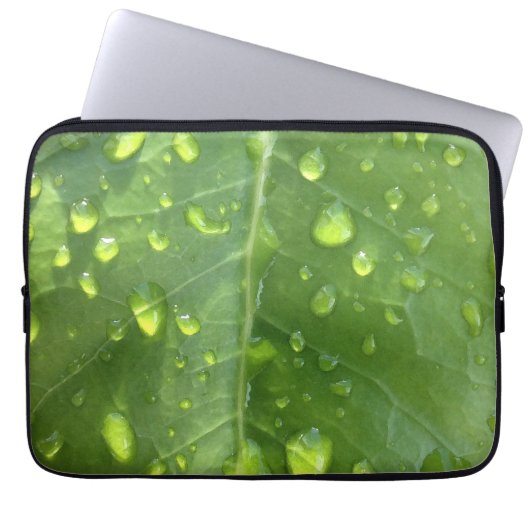 Seide auf einem Sockel Laptopschutzhülle (Vorderseite)