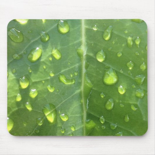 Seide auf einem Sockel Mousepad (Vorne)