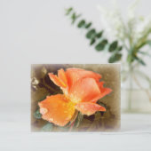 Seide auf Rose..... Postkarte (Stehend Vorderseite)