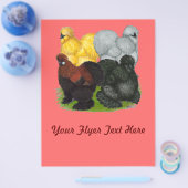 Seiden: Verschiedene Rooster Flyer (Einzeln)