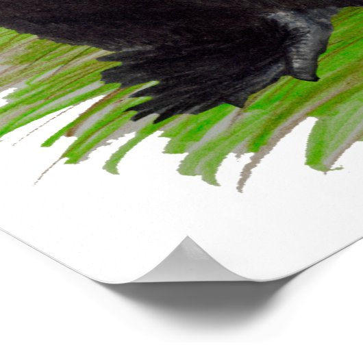 Seiden: Verschiedene Rooster Poster (Ecke)