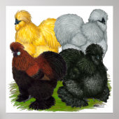 Seiden: Verschiedene Rooster Poster (Vorne)