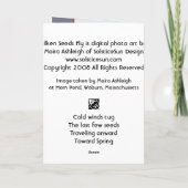 Seidene Samen fliegen Karte (Rückseite)