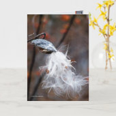 Seidene Samen fliegen Karte (Gelbe Blume)