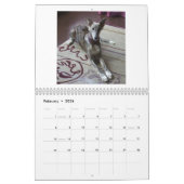 Seidene Windhound Welpen 2013 Kalender (Feb 2026)