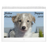 Seidene Windhound Welpen 2013 Kalender (Titelbild)