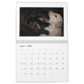 Seidene Windhound Welpen 2013 Kalender (Mär 2027)