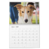 Seidener Welpen-Kalender 2017 Kalender (Mär 2027)