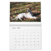 Seidener Welpen-Kalender 2017 Kalender (Jan 2027)