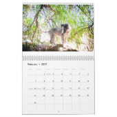 Seidener Welpen-Kalender 2017 Kalender (Feb 2027)