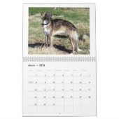 Seidenes Windhounds 2013-2 Kalender (Mär 2026)