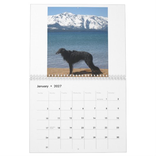 Seidenes Windhounds 2013-2 Kalender (Jan 2027)