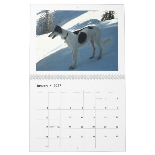 Seidenes Windhounds 2013 Kalender (Jan 2027)