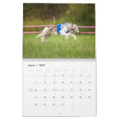 Seidenes Windhounds, das Spaß 2019 hat Kalender (Mär 2027)