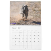 Seidenes Windhounds, das Spaß 2019 hat Kalender (Feb 2027)