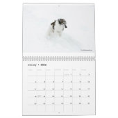 Seidenes Windhounds im Aktions-Kalender Kalender (Jan 2026)