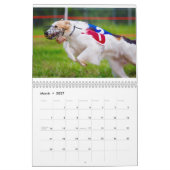 Seidenes Windhounds im Aktions-Kalender Kalender (Mär 2027)
