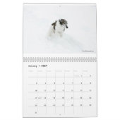 Seidenes Windhounds im Aktions-Kalender Kalender (Jan 2027)