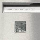 Seidenfäden verhüllen, Abbildung Encylopedia Magnet (In Situ (Geschirrspüler))