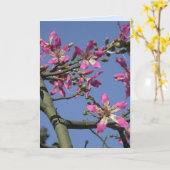 Seidenfleckbaum Karte (Gelbe Blume)