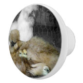 Seidenhühner mit Hähnchen, die aus Federn pinkeln Keramikknauf (Rechts)