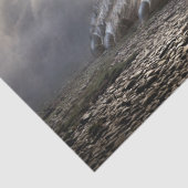 Seidenpapier (Detail)