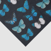 Seidenpapier: BLAUE BUTTERFLY CHARTA AUF SCHWARZ Seidenpapier (Detail)