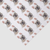 Seidenpapier der französischen Bulldogge (Ausschnitt)