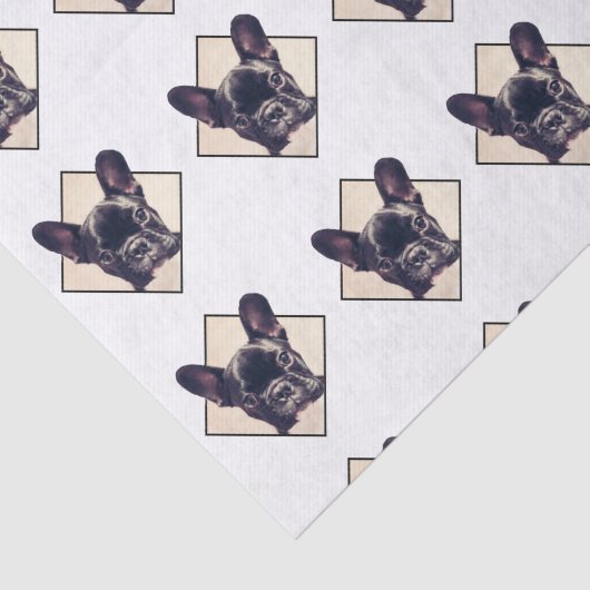 Seidenpapier der französischen Bulldogge (Ausschnitt)