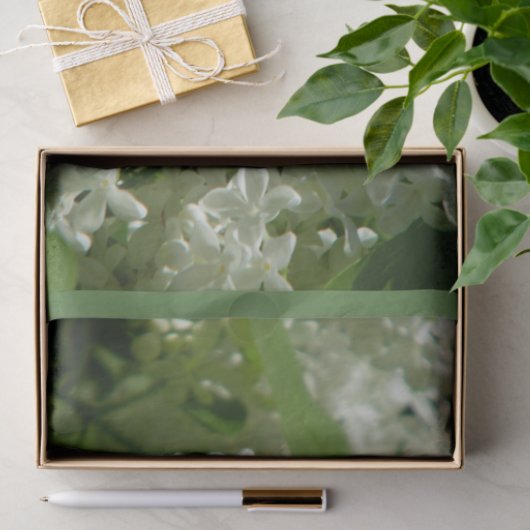 Seidenpapier für Sie spezielles Geschenk (Geschenk)