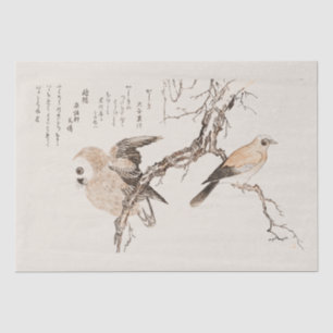 Seidenpapier: JAPANISCH: UTAMARO KITIGAWA 1806 Seidenpapier