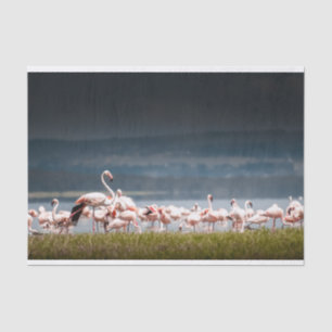 Seidenpapier mit Bild der Flamingos